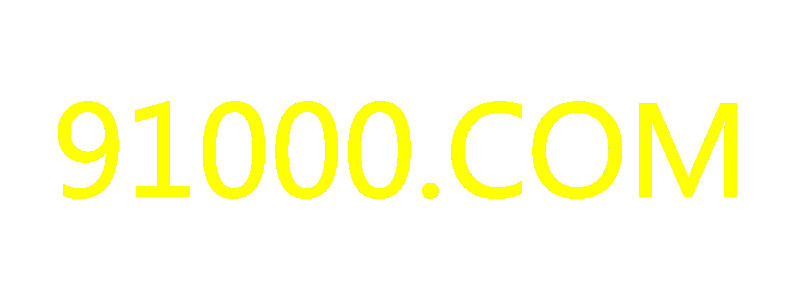 91000.COM